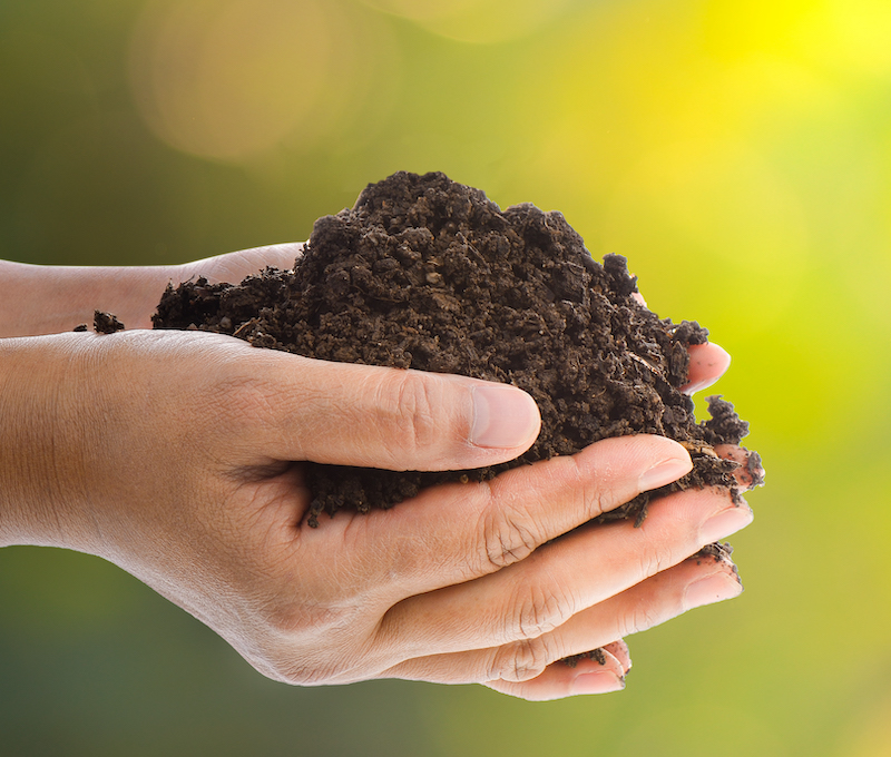 A handful of black soil over nature  background