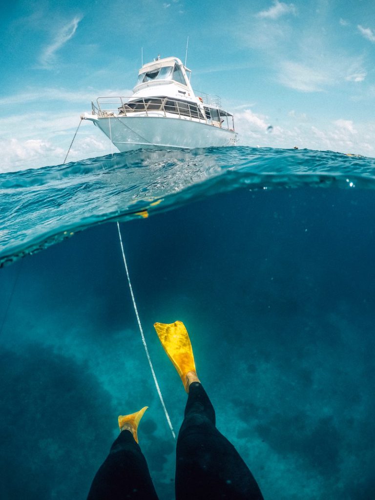 snorkelling the great barrier reef