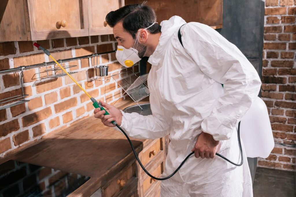 side view of pest control worker spraying pesticides under shelves in kitchen